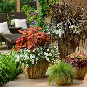 Browse Moscow Building Supply's current promos.
